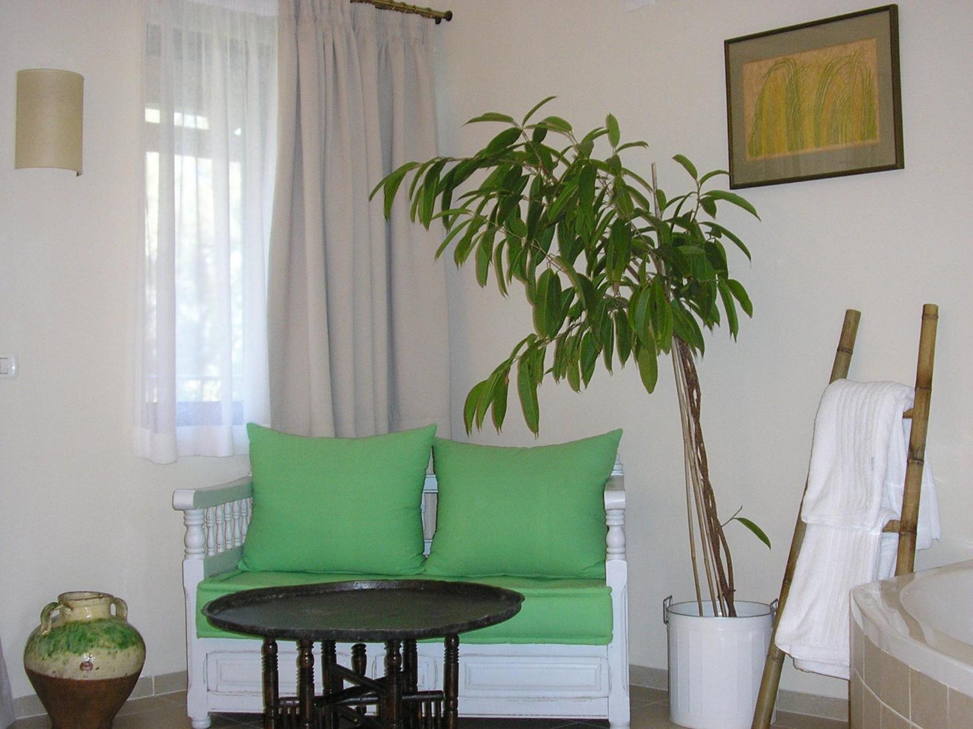 Shulamit Yard Hotel Рош Пина Екстериор снимка